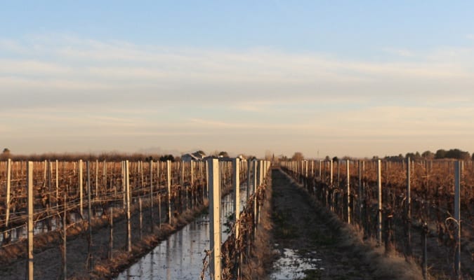 La Viña Winery, vinícola no estado de Novo México